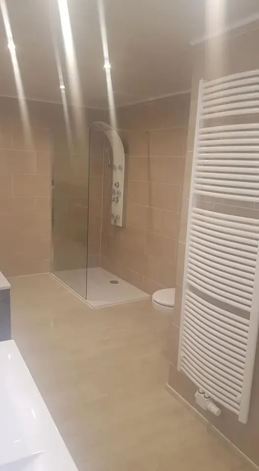 52984144_546136005896968_4264159469815988224_n